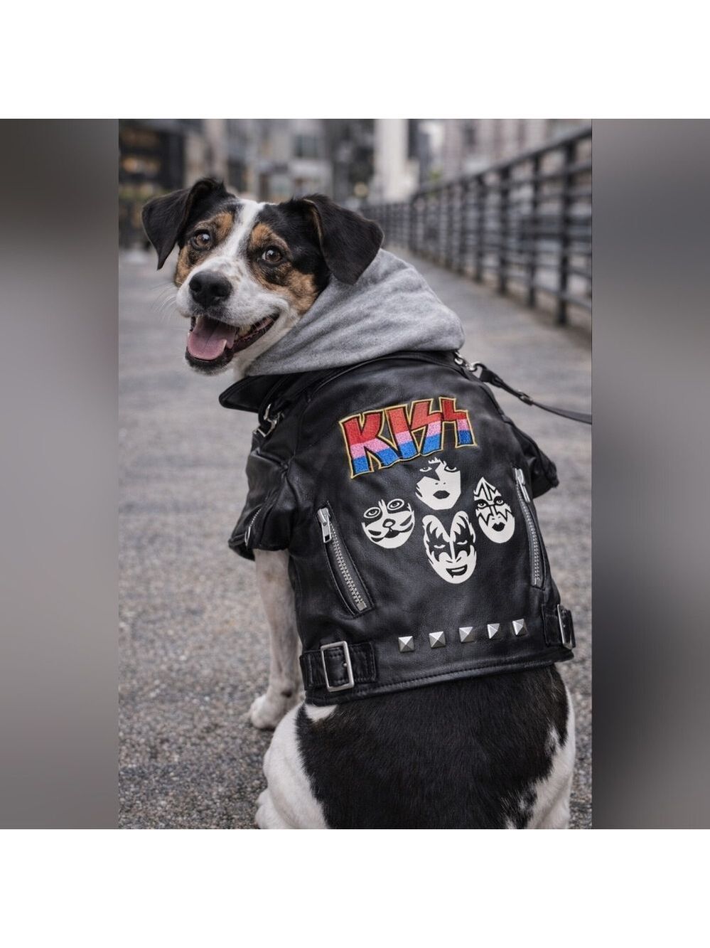 KISS Band Dog Jacket Faux Leather Motorcycle Style | Fab Dog | Rock Costume